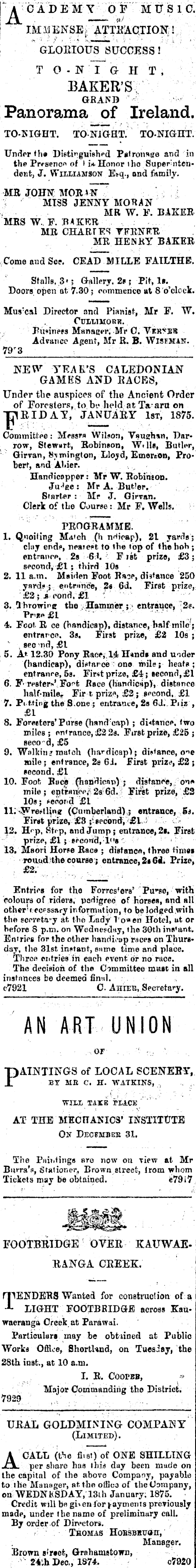 Papers Past Newspapers Thames Star 28 December 1874 Page 3 Advertisements Column 2