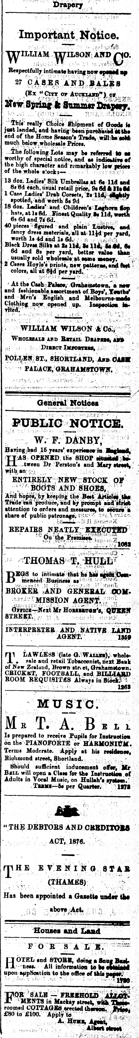 Papers Past Newspapers Thames Star 11 January 1878 Page 1 Advertisements Column 6