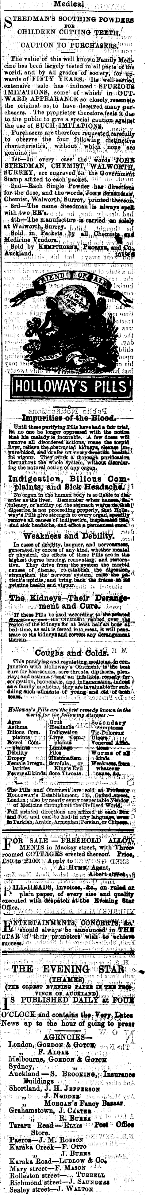 Papers Past Newspapers Thames Star 6 May 1879 Page 4 Advertisements Column 6