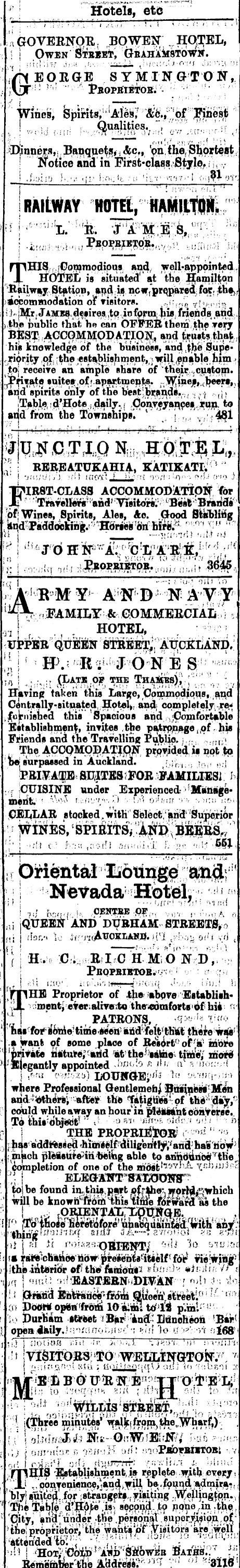 Papers Past Newspapers Thames Star 5 August 1879 Page 1 Advertisements Column 3