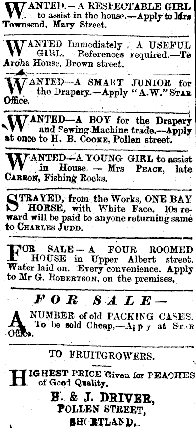 Papers Past Newspapers Thames Star 7 January 1897 Page 3 Advertisements Column 1