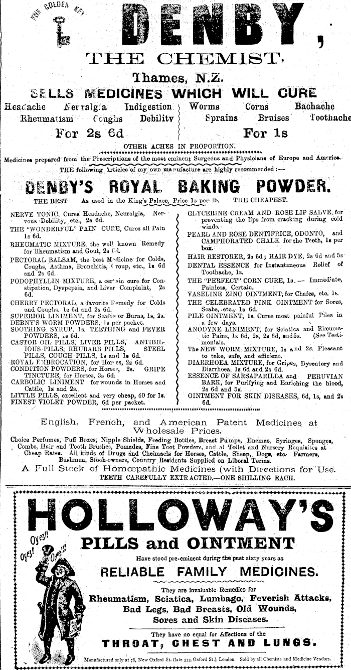 Papers Past Newspapers Thames Star 4 October 1902 Page 1 Advertisements Column 2