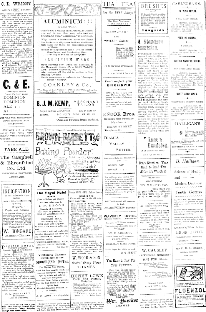 Papers Past Newspapers Thames Star 14 September 1912 Page 1 Advertisements Column 2