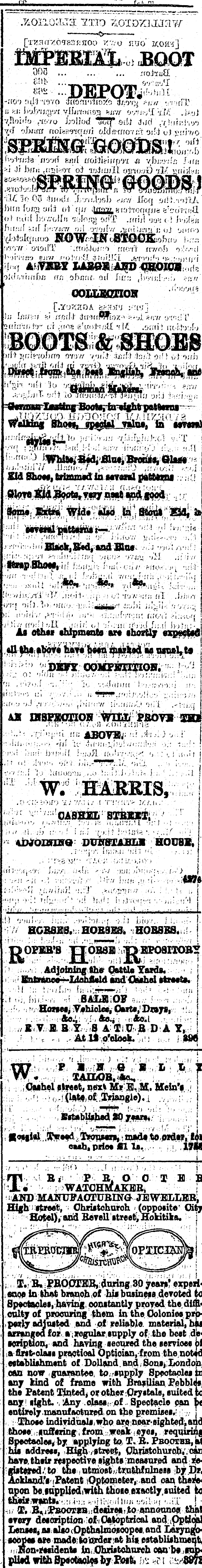 Papers Past Newspapers Star Christchurch 19 February 1878 Page 4 Advertisements Column 4