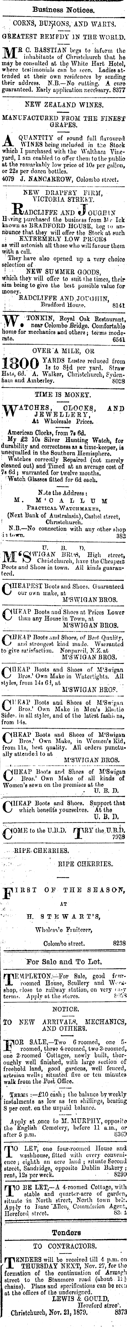 Papers Past Newspapers Star Christchurch 22 November 1879 Page 1 Advertisements Column 7