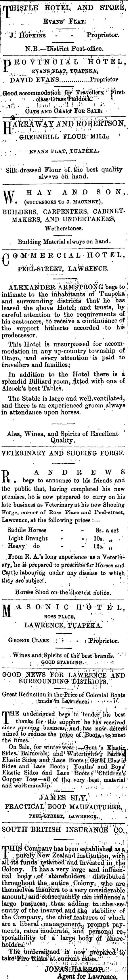 Papers Past Newspapers Tuapeka Times 14 August 1873 Page 1 Advertisements Column 2