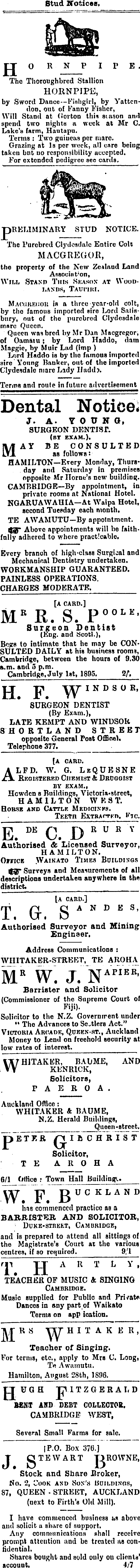 Papers Past Waikato Argus Waikato Argus 1 September 1896