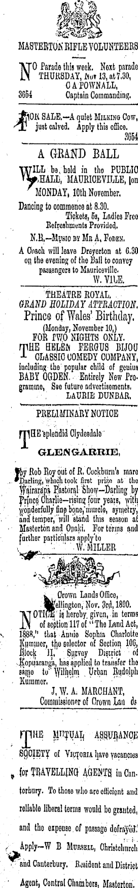 Papers Past | Newspapers | Wairarapa Daily Times | 5 November 1890 | Page 3  Advertisements Column 1