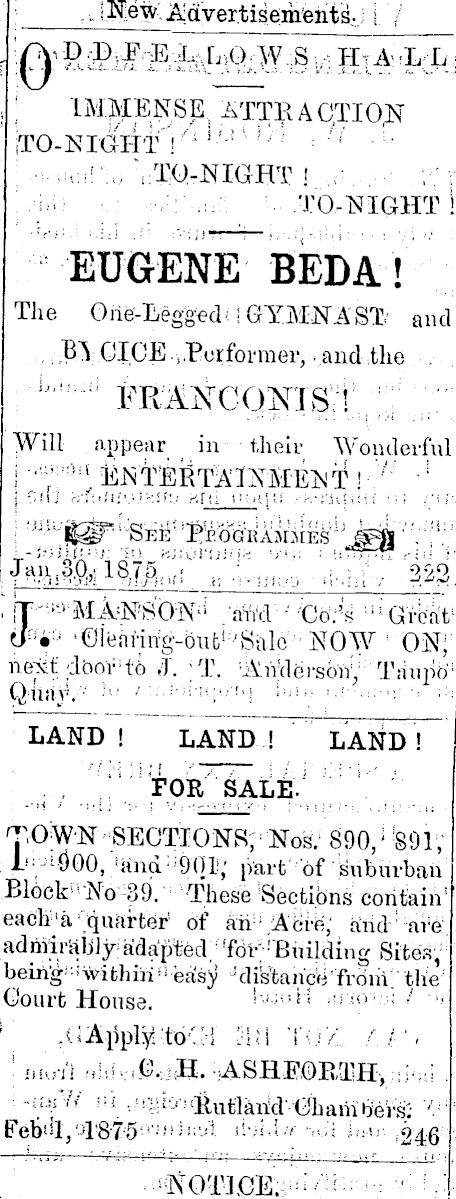 Papers Past Newspapers Wanganui Herald 1 February 1875 Page 3 Advertisements Column 2