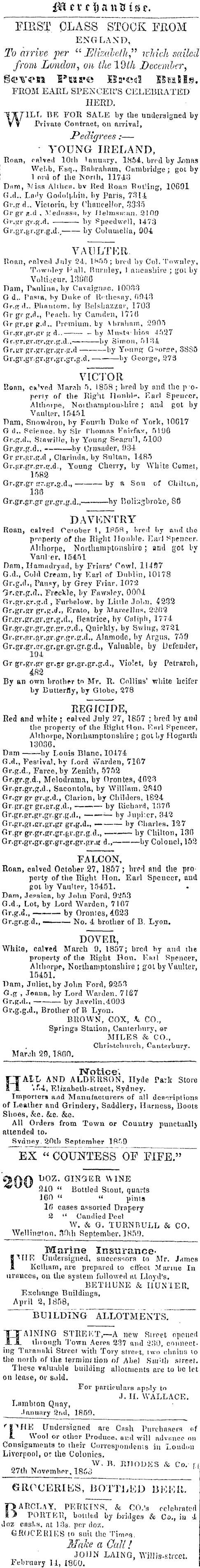 Papers Past Newspapers Wellington Independent 22 May 1860 Page 4 Advertisements Column 3