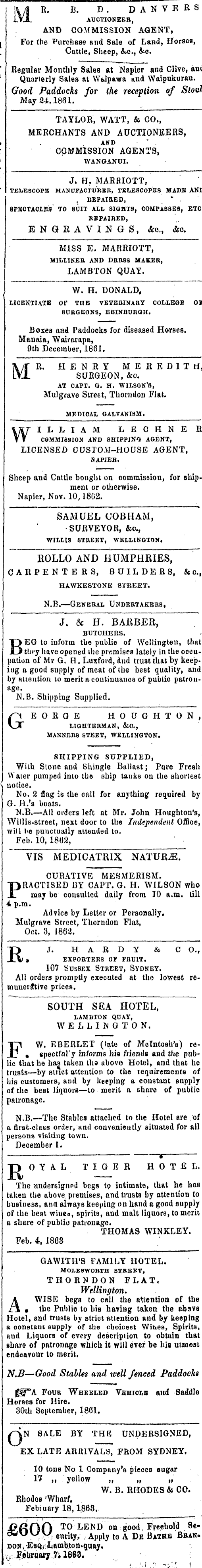 Papers Past | Newspapers | Wellington Independent | 14 March 1863 | Page 1  Advertisements Column 3