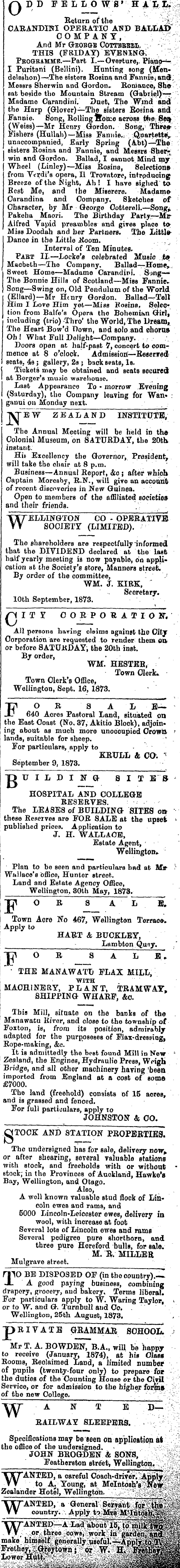 Papers Past Newspapers Wellington Independent 19 September 1873 Page 3 Advertisements Column 4