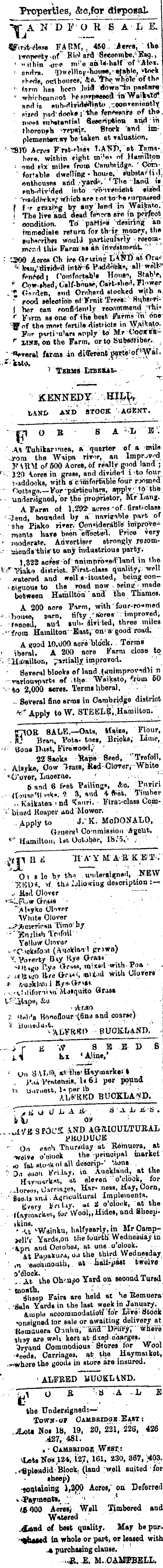 Papers Past Newspapers Waikato Times 9 January 1877 Page 4 Advertisements Column 1