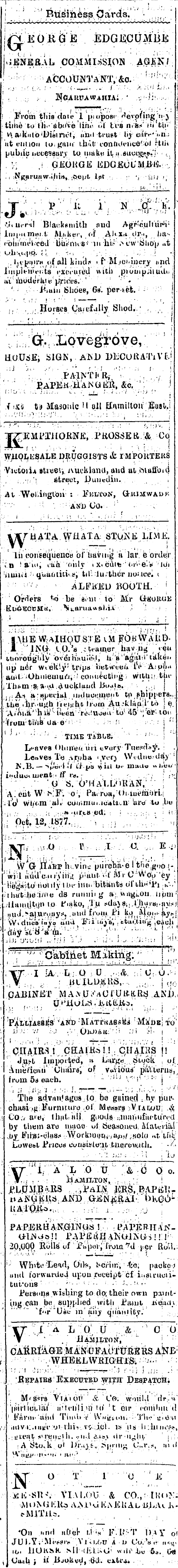 Papers Past Newspapers Waikato Times 29 November 1877 Page 1 Advertisements Column 4