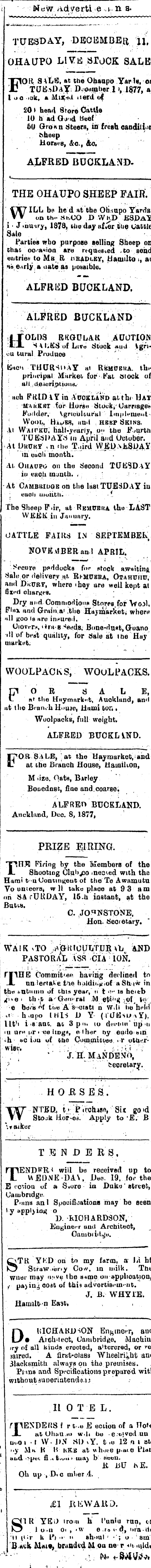 Papers Past Newspapers Waikato Times 11 December 1877 Page 3 Advertisements Column 7