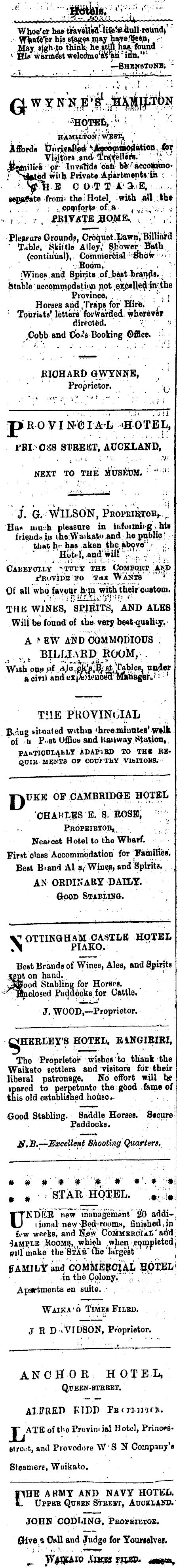 Papers Past Newspapers Waikato Times 29 December 1877 Page 1 Advertisements Column 1