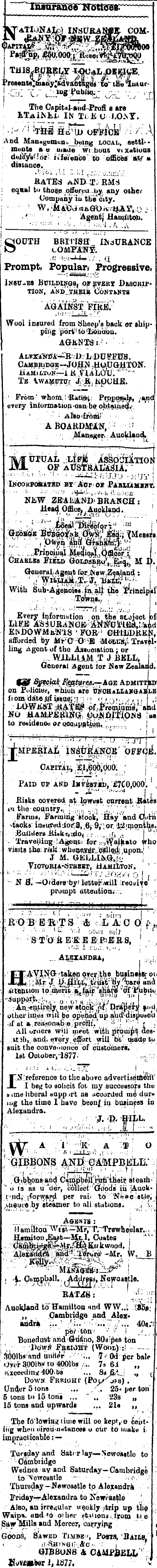 Papers Past Newspapers Waikato Times 8 January 1878 Page 4 Advertisements Column 6