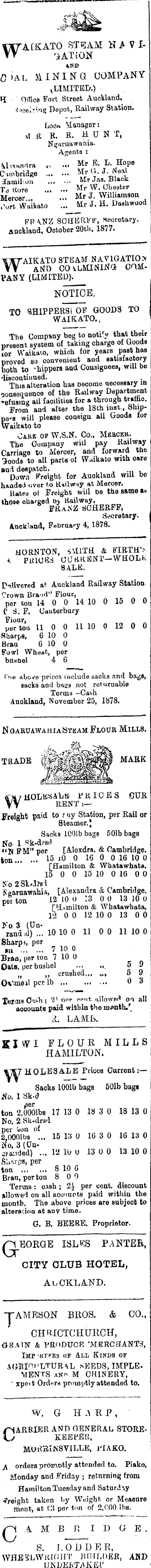 Papers Past Newspapers Waikato Times 21 December 1878 Page 2 Advertisements Column 1