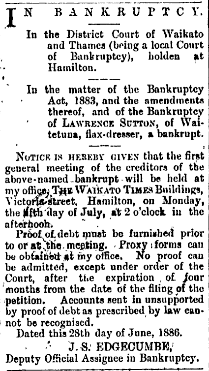 Papers Past Newspapers Waikato Times 29 June 1886 Page 3