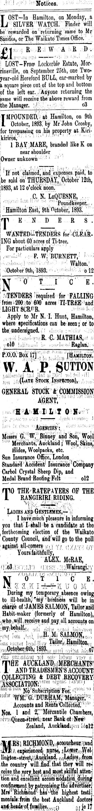 Papers Past Newspapers Waikato Times 12 October 13 Page 10 Advertisements Column 2