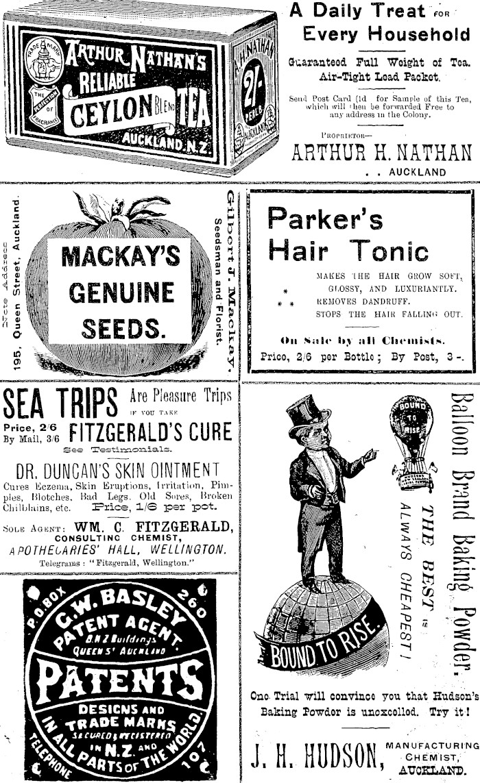 Papers Past Magazines And Journals New Zealand Illustrated Magazine 1 December 1902 Page 3 Advertisements Column 1