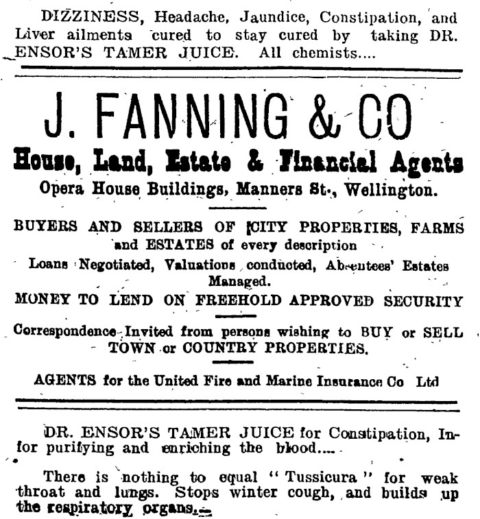 Papers Past Magazines And Journals New Zealand Tablet 13 September 1906 Page 25 Advertisements Column 1