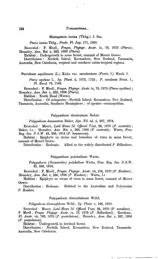 Papers Past Magazines And Journals Transactions And Proceedings Of The Royal Society Of New Zealand 1916 Art Viii The Vegetation And Flora Of Lord Howe