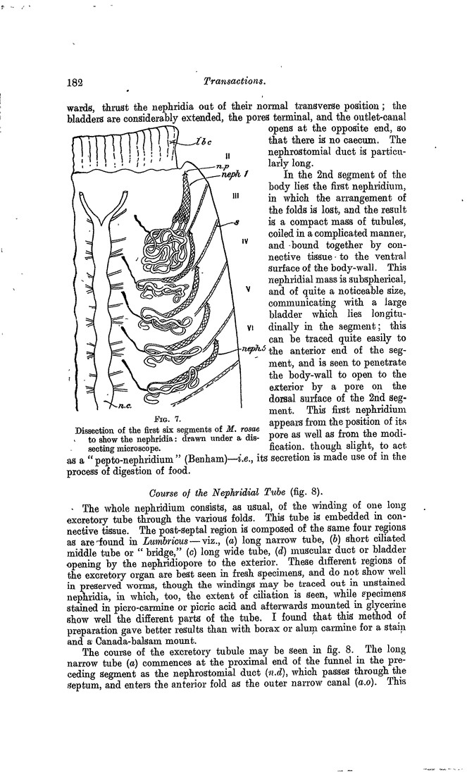 Papers Past | Magazines and Journals | Transactions and Proceedings of ...