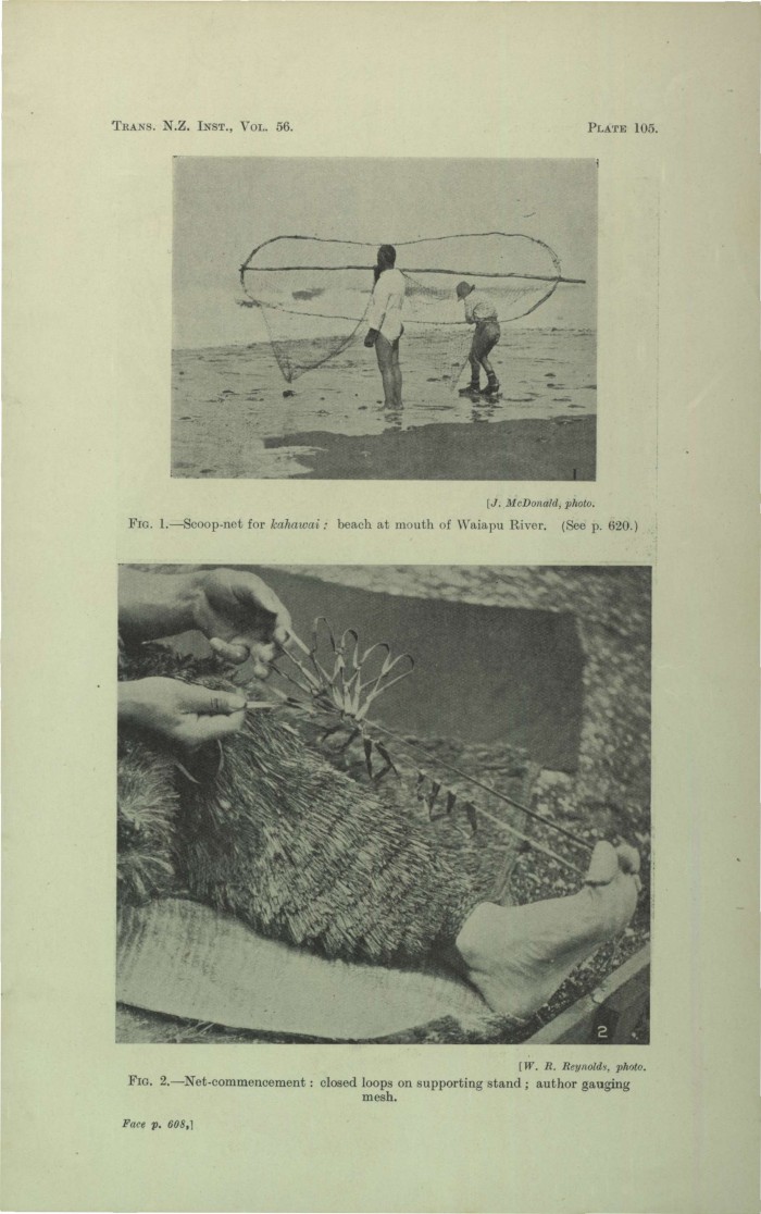 Kupenga (hand fishing net)  Collections Online - Museum of New