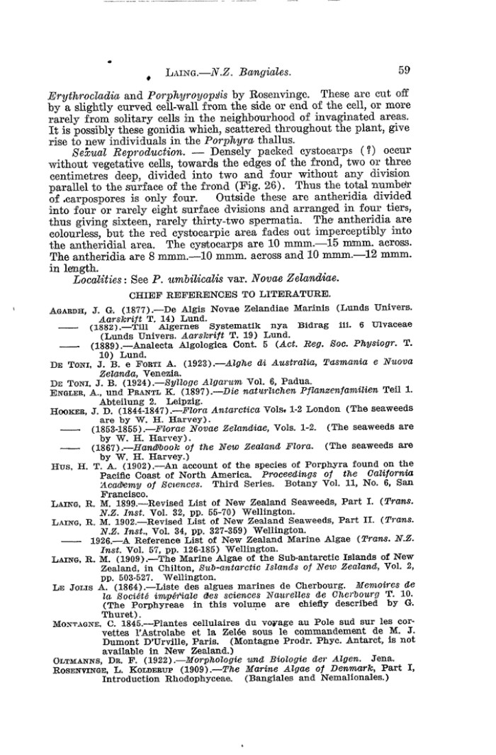 Papers Past Magazines And Journals Transactions And Proceedings Of The Royal Society Of New Zealand 1928 New Zealand Bangiales Bangia Porphyra