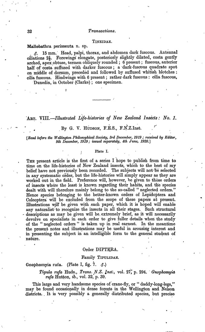 Papers Past Magazines And Journals Transactions And Proceedings Of The Royal Society Of New Zealand 19 Art Viii Illustrated Life Histories Of New