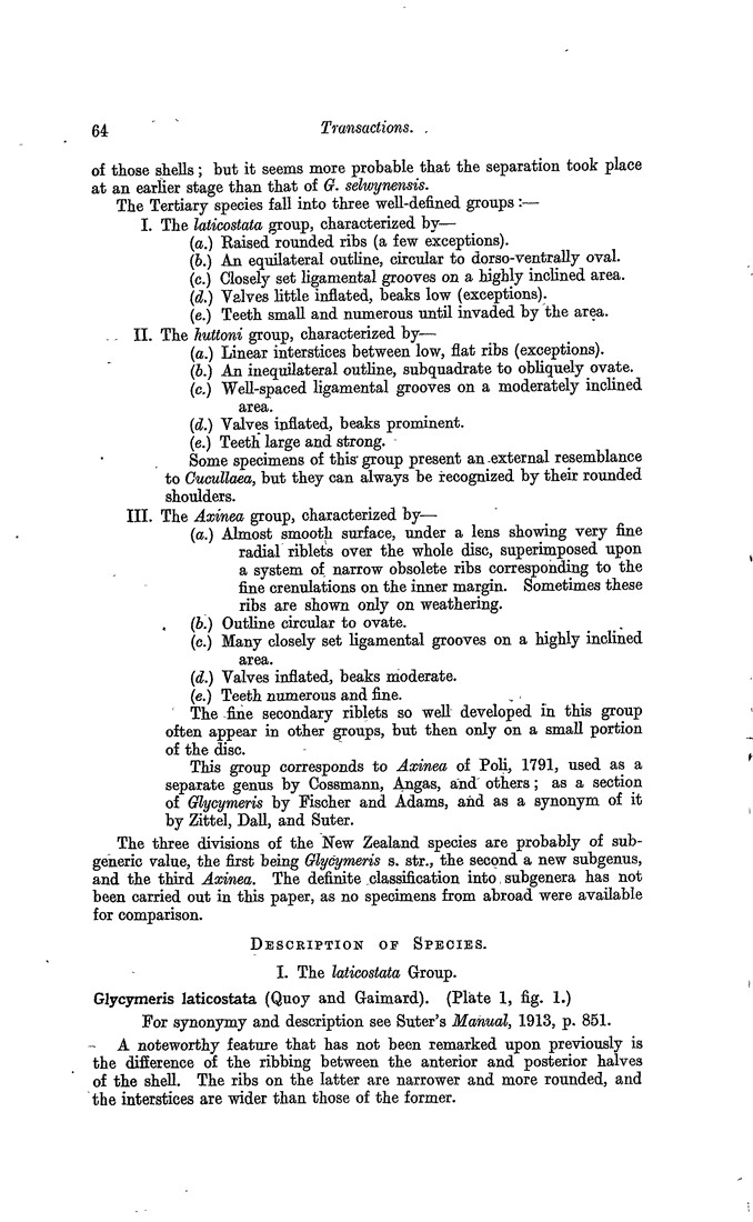 Papers Past Magazines And Journals Transactions And Proceedings Of The Royal Society Of New Zealand 1923 Art 2 The Genus Glycymeris In The Tertiary Of