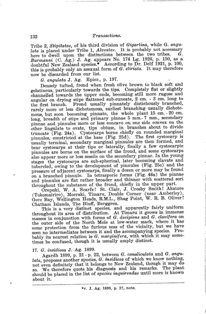 Papers Past Magazines And Journals Transactions And Proceedings Of The Royal Society Of New Zealand 1930 The New Zealand Species Of Gigartina